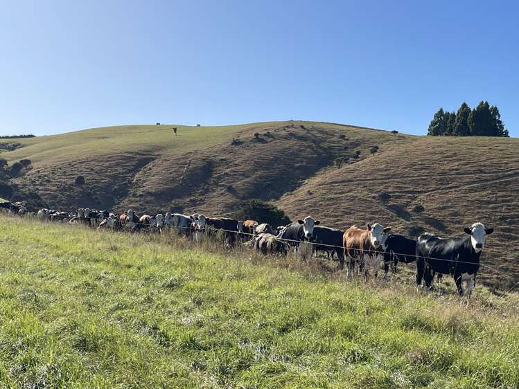 186 Murray Road Lawrence_13