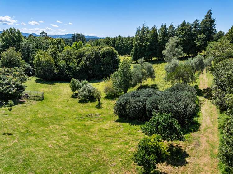 8 Pine Ridge Lane Aongatete_41