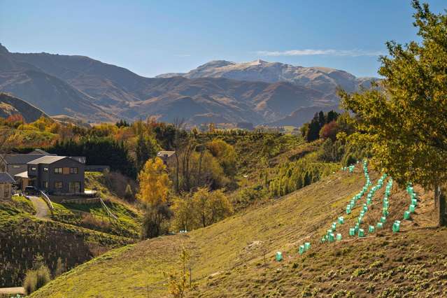 114 Alec Robins Road Lake Hayes_2