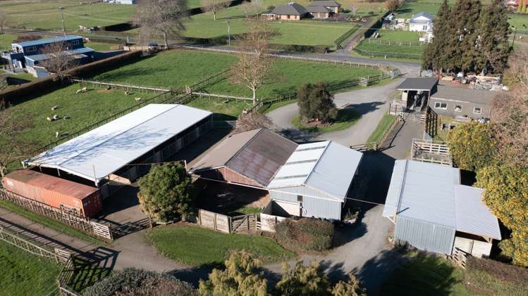 19 Brinkworth Road Tamahere_2