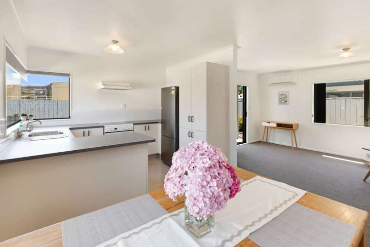 20b White Street Wanganui East_7