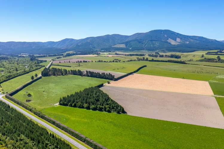 260 Hayland Road Okuku_2