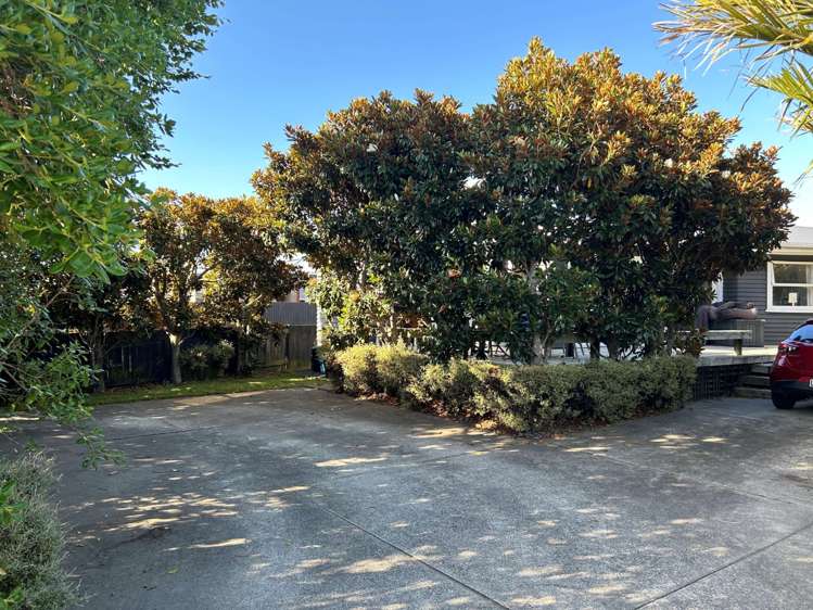 46 Links Avenue Mount Maunganui_13