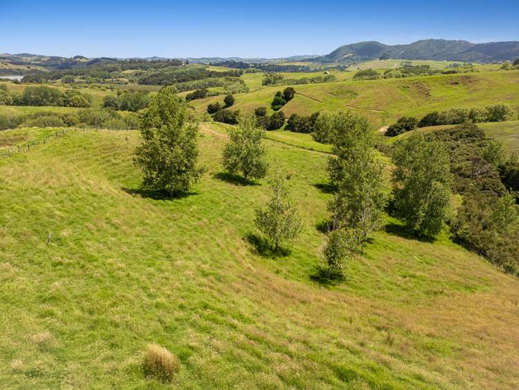 145 Ranganui Road Kaiwaka_18