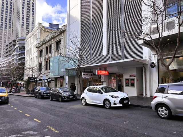 4C Lorne Street Auckland Central_2
