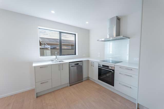 21A Rayner Street Temuka_4