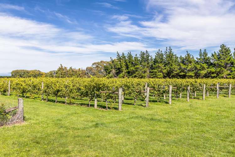 1114 Omihi Road Omihi_33