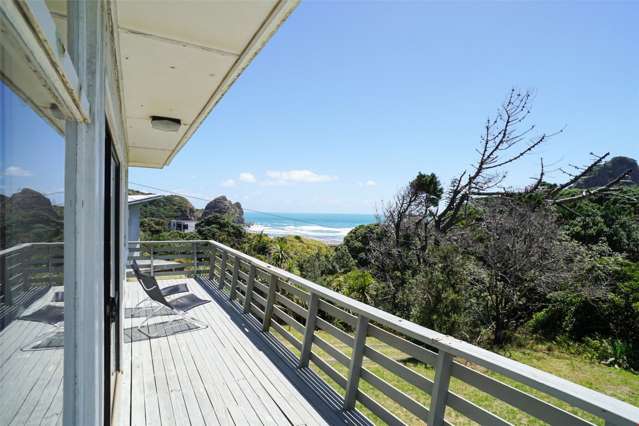 19 Beach Valley Road Piha_4