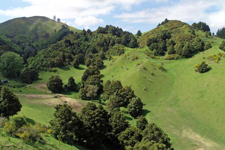 100 Garden Valley Road Brightwater_13