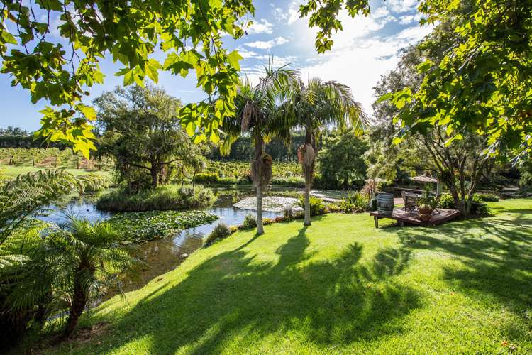 56 Wiroa Road Kerikeri_15