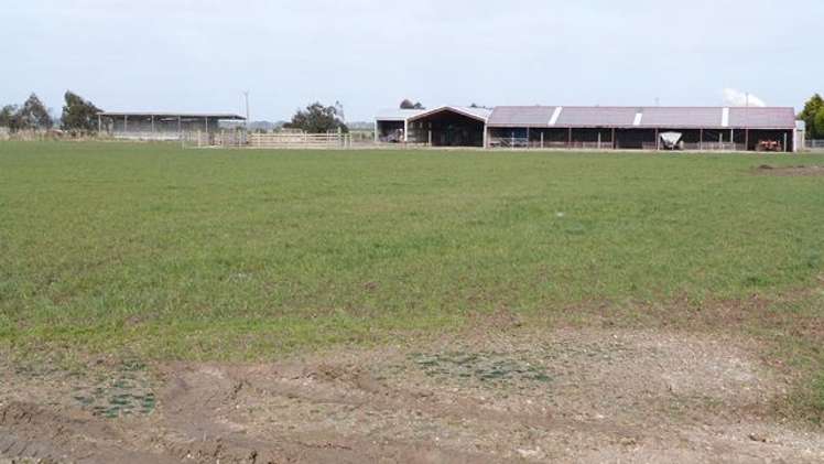 45 Tiwai Road Woodend_8