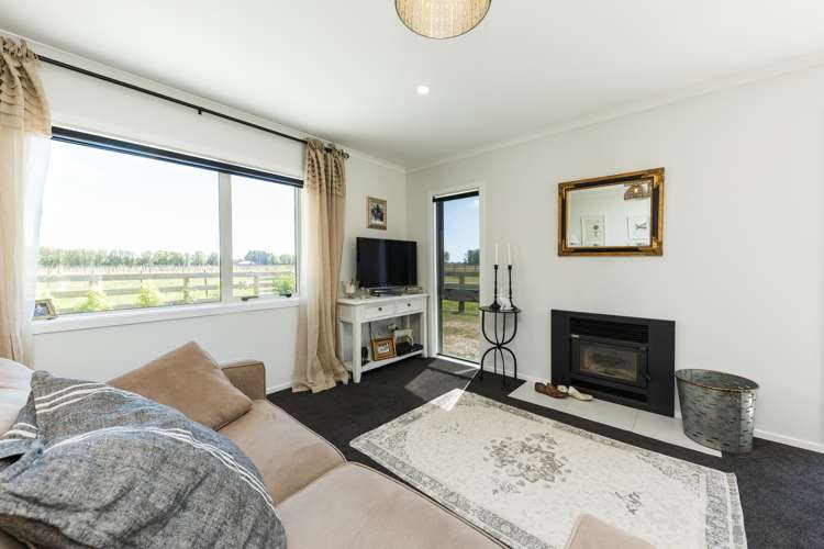 541 Newbury Line Bunnythorpe_15