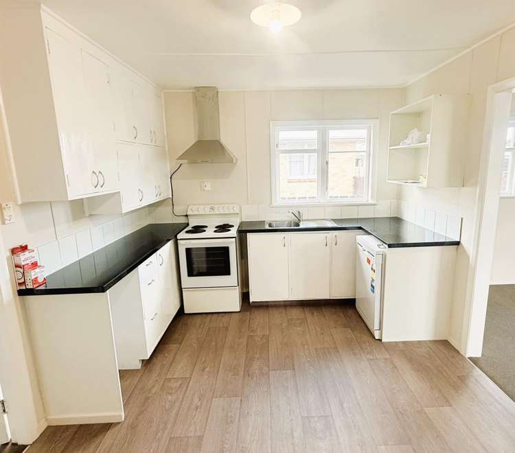  44 Haydon Street Roslyn_2