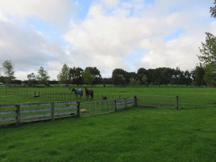 39 Brandon Hall Road Bulls_20