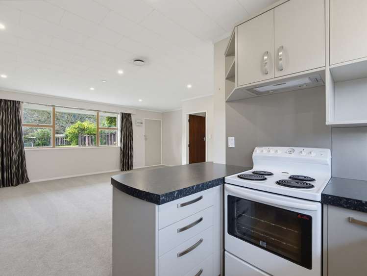 48A Domain Road Whakatane_22