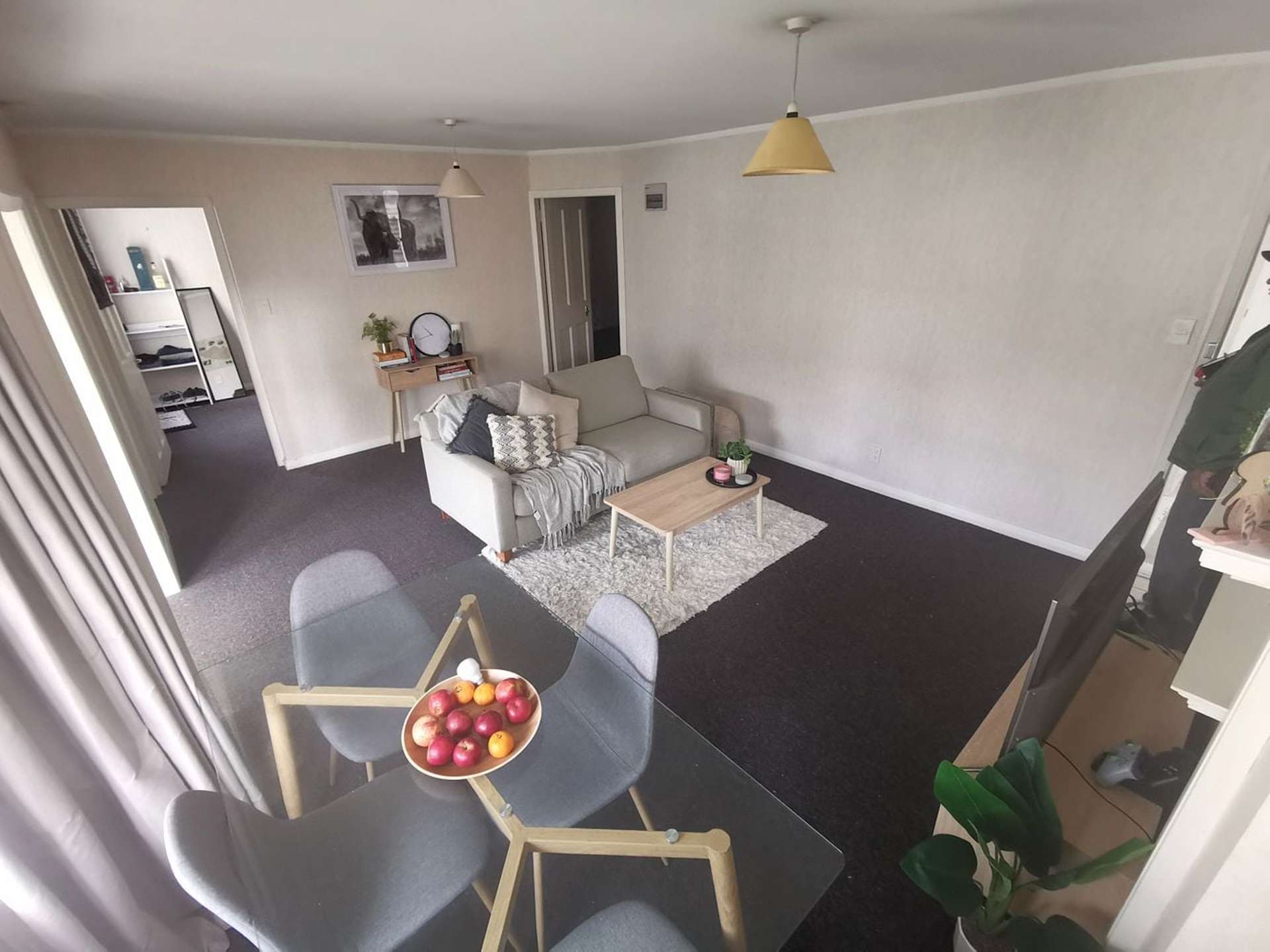 4/23 Clifton Terrace Kelburn_0