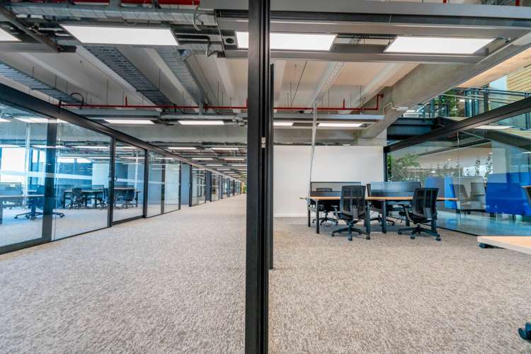 74-78 Taharoto Road Takapuna_12