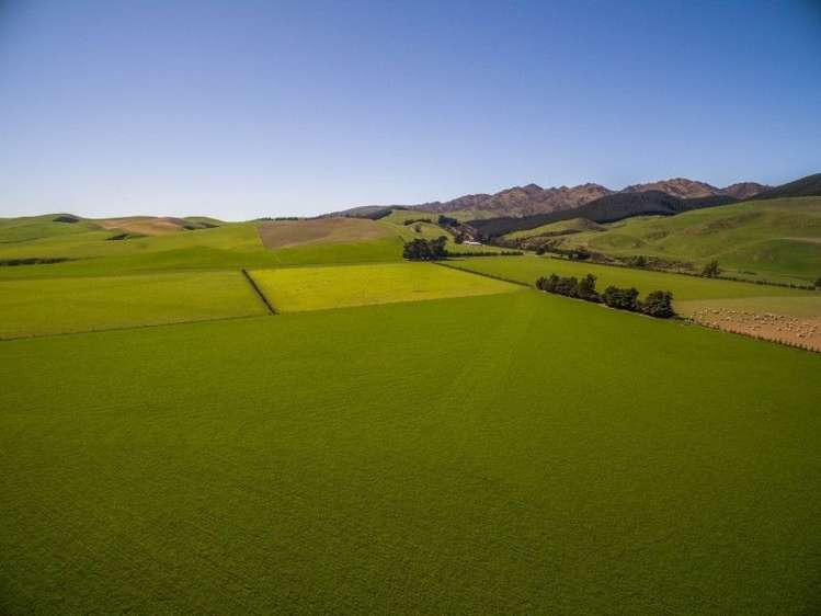 307 Broxton Road MacDonald Downs_0