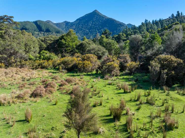 Lots 3 4 5 Nydia Bay Marlborough Sounds_21