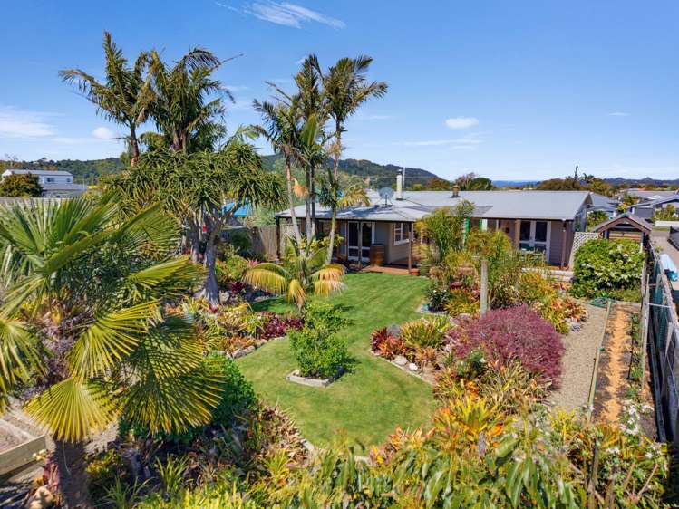 42 Victoria Avenue Whakatane_4