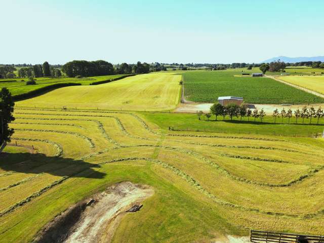 218 Station Road Matamata_4