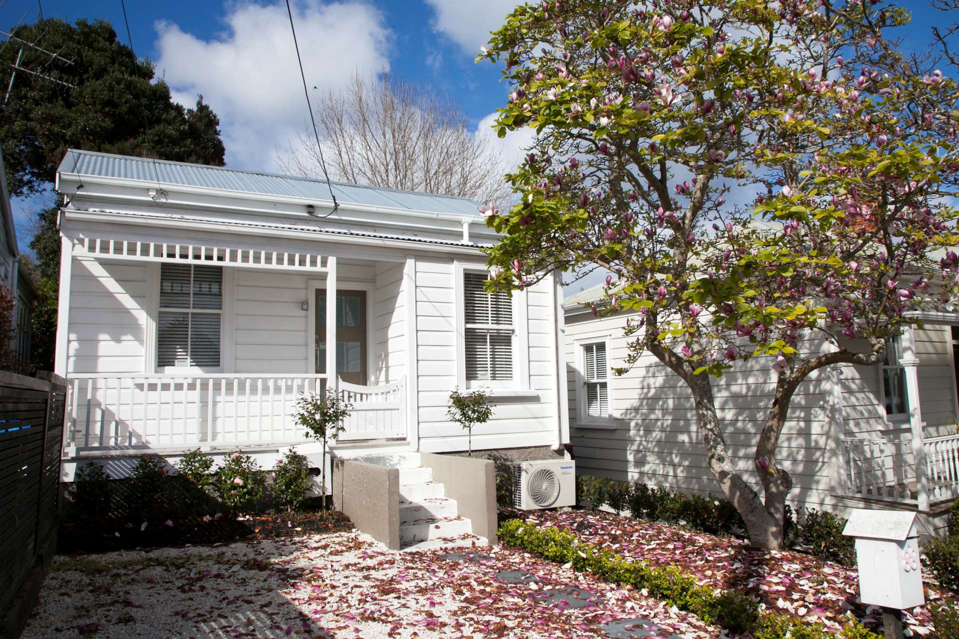 88 Summer Street Ponsonby_0