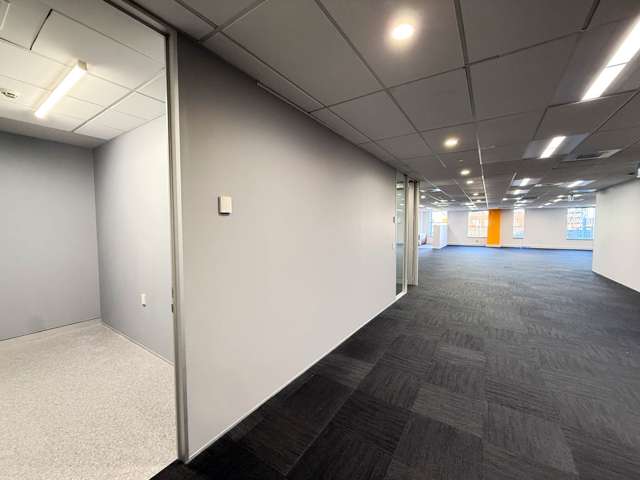 139 Carlton Gore Road Newmarket_3