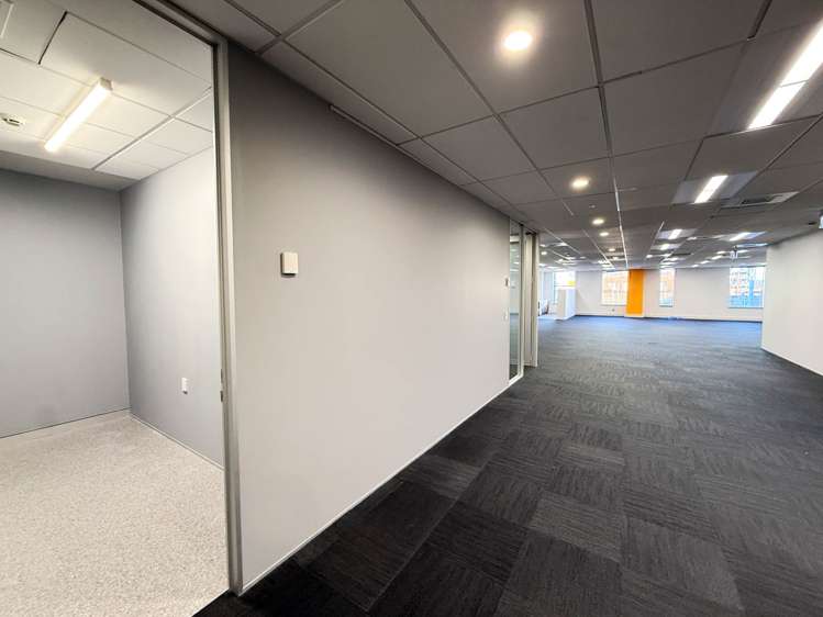 139 Carlton Gore Road Newmarket_3