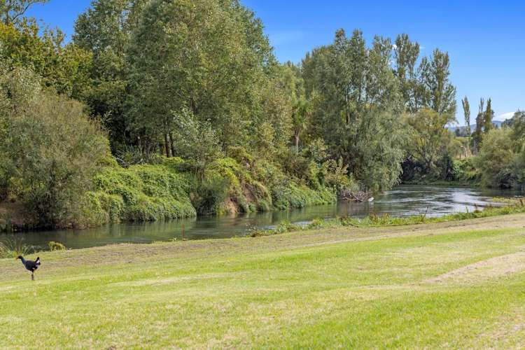 10/29 Terminus Street Te Aroha_7