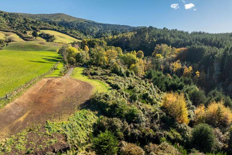 315 Leith Valley Road Leith Valley_11