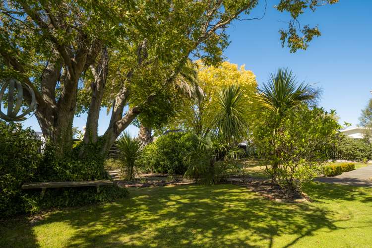 128 Maxwell Road Redwoodtown_21