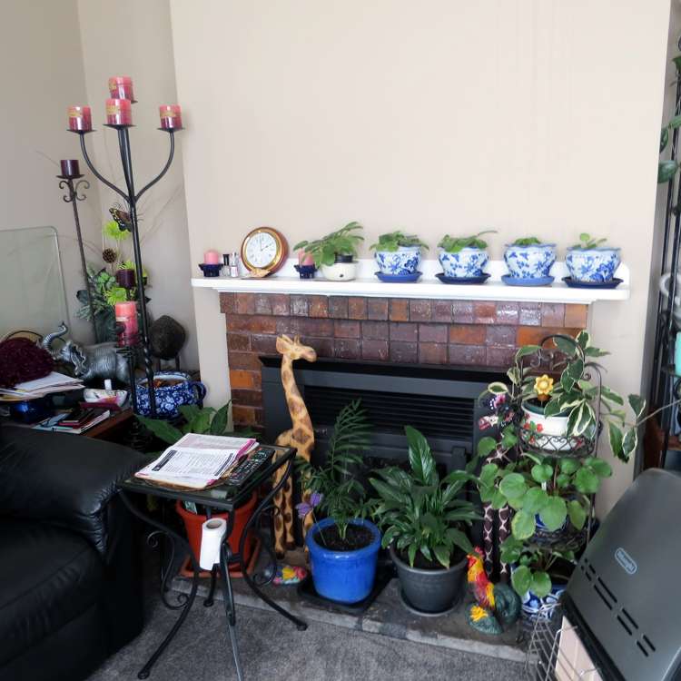 43 Papanui Street Tokoroa_8