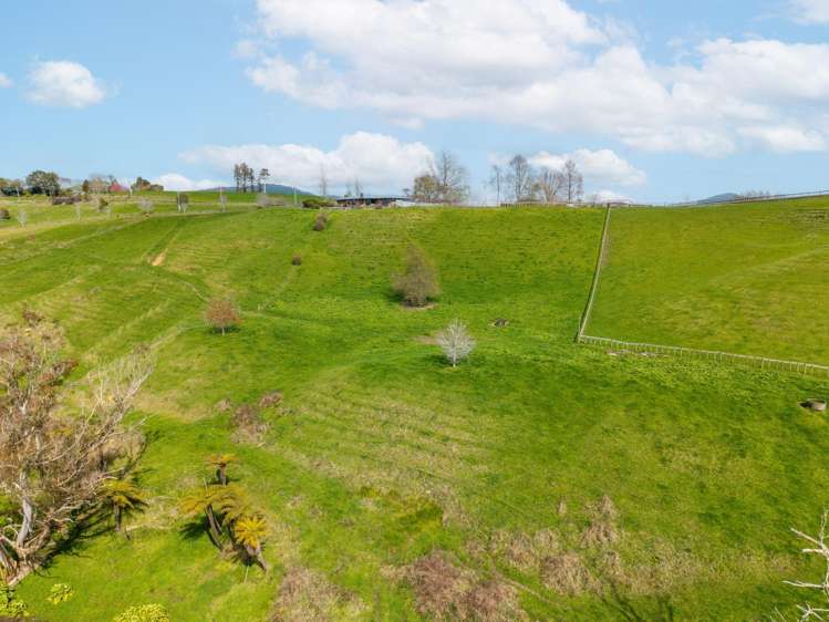 374 Morgan Road Matamata_30