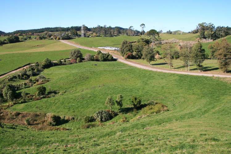 688 Junction Road Burgess Park_30