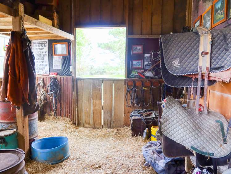 388 Mount Wesley Coast Road Dargaville_13