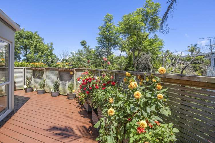 992 Beach Road Torbay_11