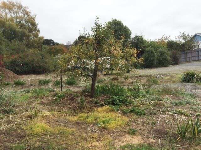 67a Mckenzie Street Geraldine_3