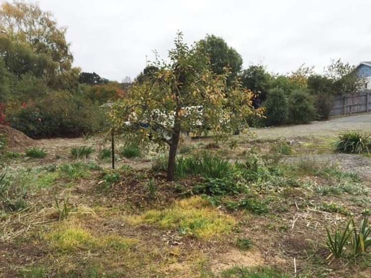 67a Mckenzie Street Geraldine_3