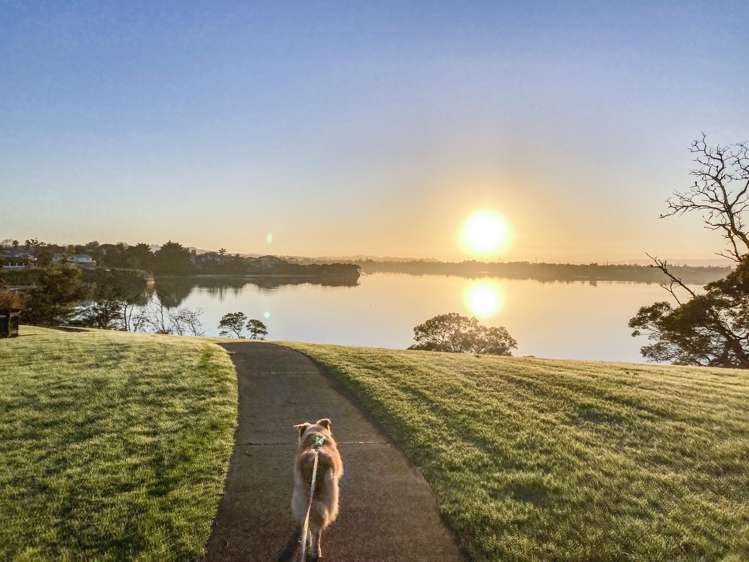 31 Tington Avenue Wattle Downs_18