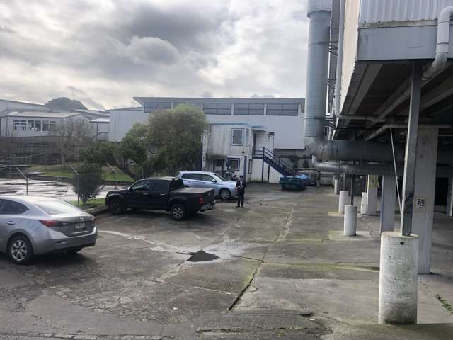 421 Sandringham Road Sandringham_4