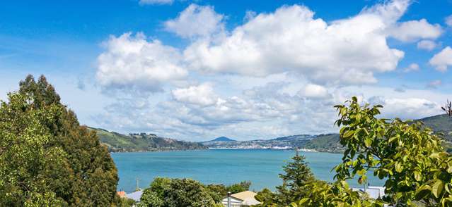 30 Porterfield Street Macandrew Bay_1