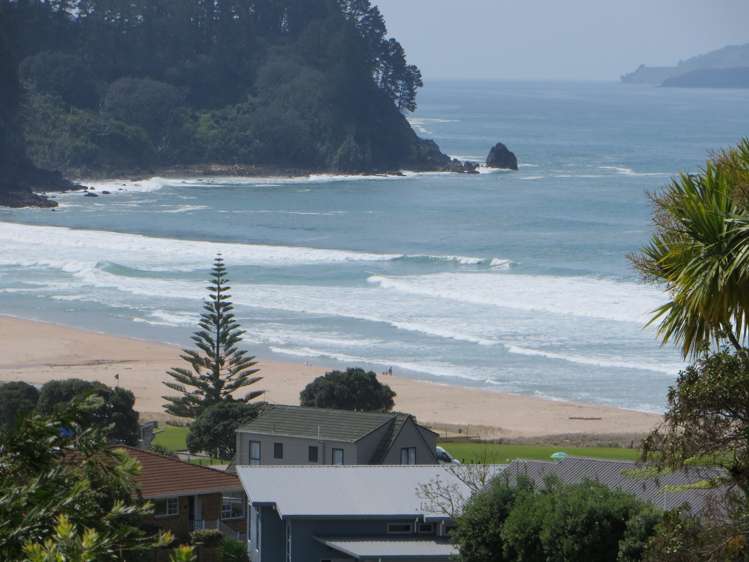 420 Onemana Drive Onemana_3