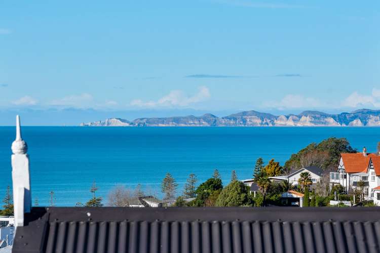6 Fitzroy Road Bluff Hill_6