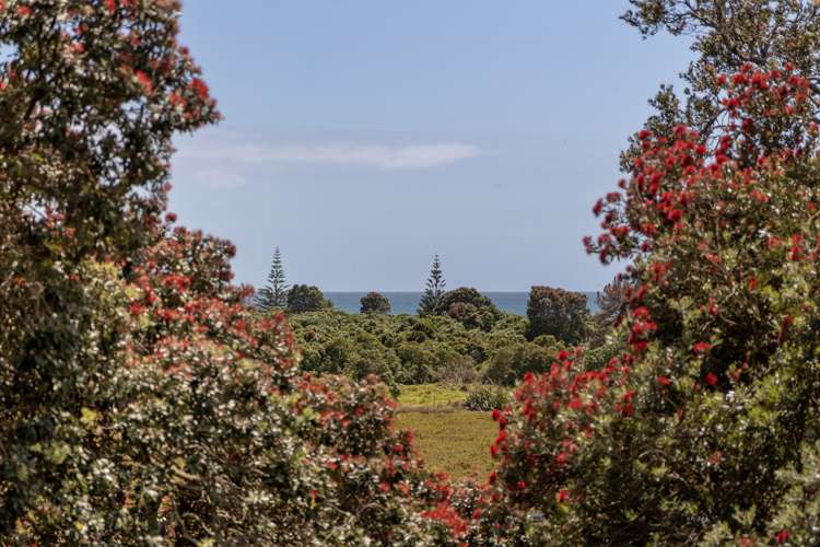 37 Pohutukawa Drive Athenree_25