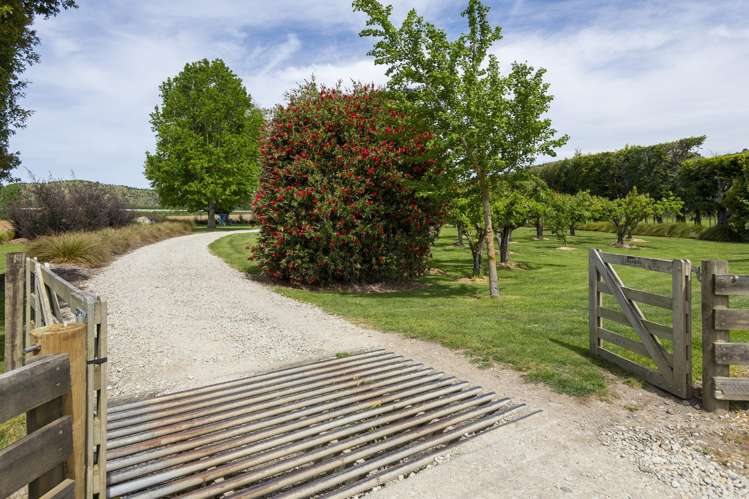 101 Pitcher Road Te Karaka_3