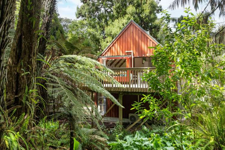 113a Daffodil Street Titirangi_14