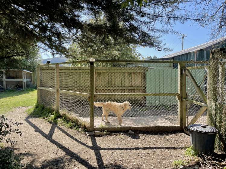 23 Goodwood Road Palmerston_16