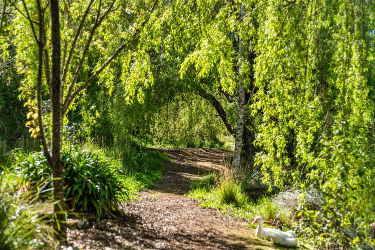 672G Te Whiti Road Masterton_28