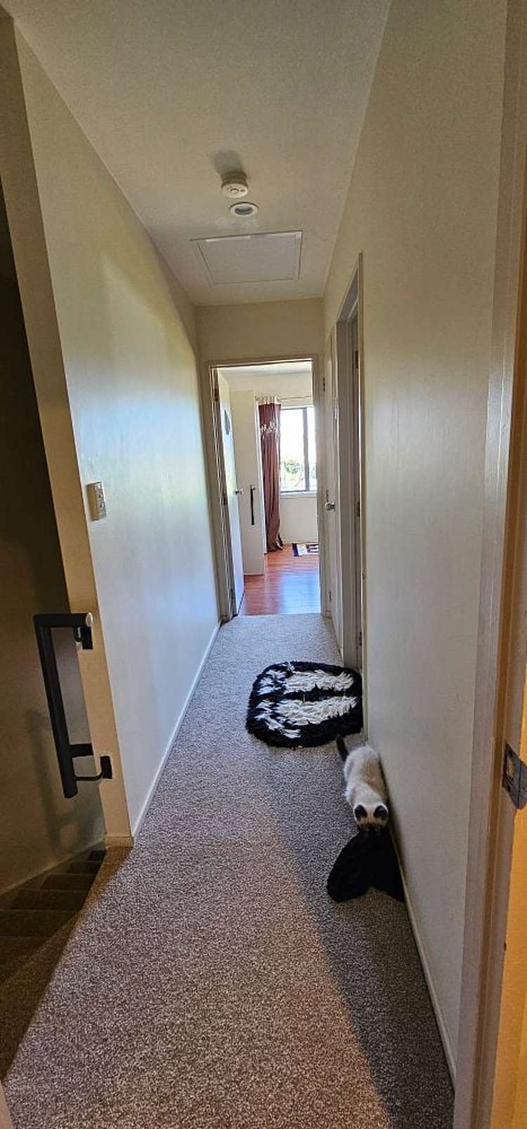 25/6 Ambrico Place New Lynn_7