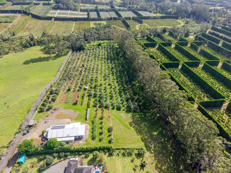 89 Conifer Lane Kerikeri_15